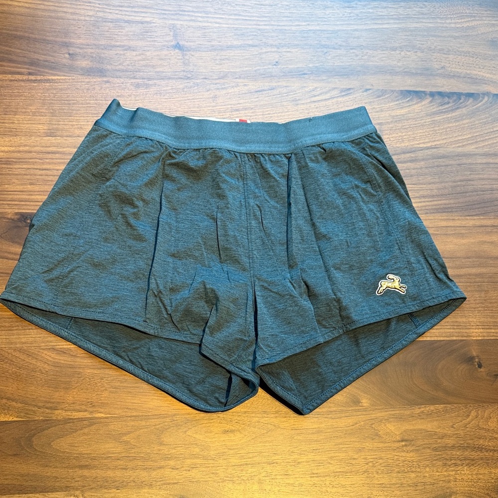 Tracksmith green blue run shorts (session)
